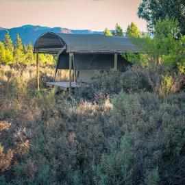 Bike Forge Glamping، فندق في تولباغ