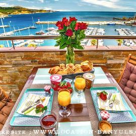 Location front de mer de Thierry Bourgait, hotel in Banyuls-sur-Mer