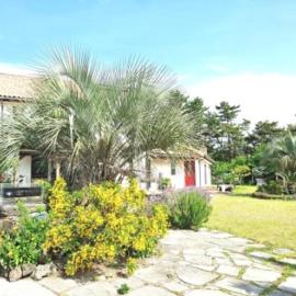 Bandi House