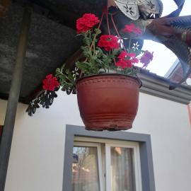 Etno Kuca Badejevic, Hotel in Plavna