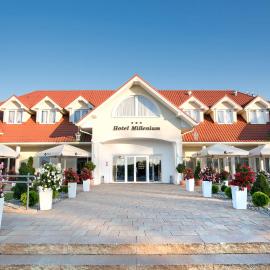 Hotel Millenium, hotel em Żyraków