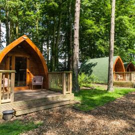Pinewood - At Port Lympne Hotel & Reserve, hotel in Hythe