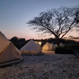 Cat A Camp - Khao Yai
