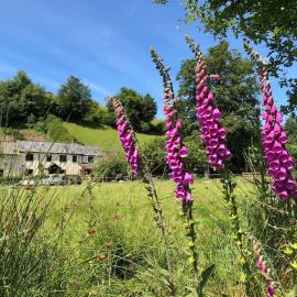 Luxury Exmoor Barn conversion with Sauna, hotel di Exford