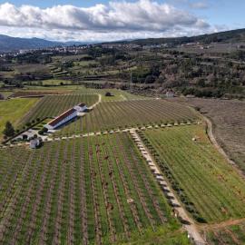 Quinta Lourena - Casa do Caseiro, ξενοδοχείο σε Covilhã