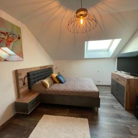 Nuits en Sologne, hotel u gradu Romorantin
