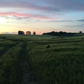 Ferienwohnung Broockhof mit Ruhe, Natur und Sternenhimmel