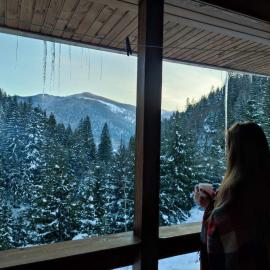 Садиба На скелі, hotel in Krivorovnya