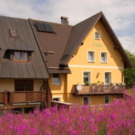 Ubytování Edita, hotel in Boží Dar