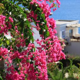 Aktur Residence, hotelli kohteessa Bitez