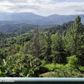 Genting Berjaya Hill The pine valley, hotel v mestu Bentong