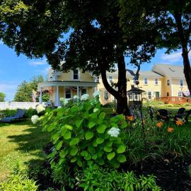 Elmere House Bed & Breakfast, hotel in Wells