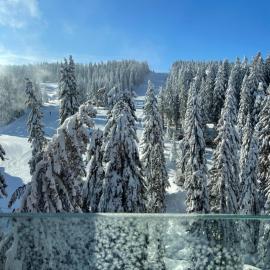 Woodside Kopaonik & SPA by Slopeview