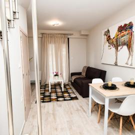 Comfy and stylish apt2