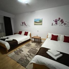 Pensiunea Aurora Vartop, hotel em Vartop