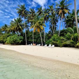 Finolhu Beach Guest House、フェリッドホーのホテル