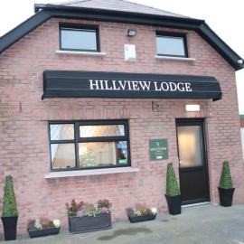 Hillview Lodge, Hotel in Armagh
