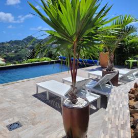 Bas de villa le rêve éveillé, hotel i Le Robert