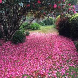 English Gardens - Garden Retreat