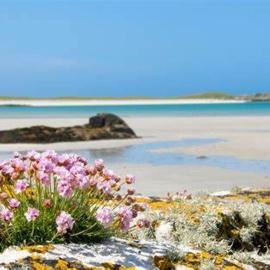 Wild Atlantic Stay Guest House Self-Catering – hotel w Galway