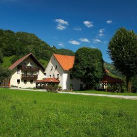 FarmStay Zelinc, hotel en Cerkno