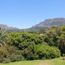Alphen Drive Apartments