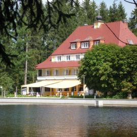 Hotel Waldsee, hotelli kohteessa Lindenberg im Allgäu