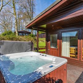 Birch Lodge 12 with Hot Tub, hotel in Newton Stewart