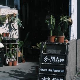 A Forest Homestay, hotel in Xiaoliuqiu