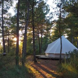 Forest Days, מלון בNavés