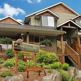 Ocean Mist Guesthouse, hotel in Ucluelet
