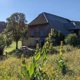 Ferme d'alpage La Bâtie Dessous