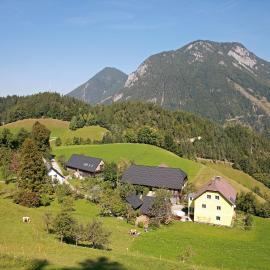 Erlebnis Bienenapartment Adamk