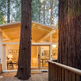 Mill Valley में, होटल Window to the Redwoods - Near Downtown MV, Dipsea Trail, & Muir Woods