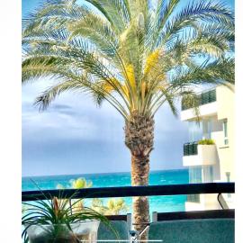 MI CAPRICHO BEACHFRONT- P300 - Apartment with sea view