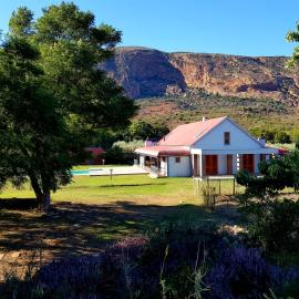 Baviaanskloof Landhuis, hotel sa Studtis