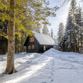 Cosy Lodge Pokljuka, hotel a Goreljek