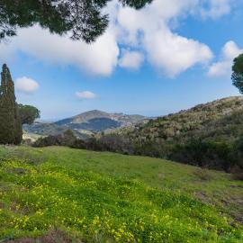 Appartamenti Campo al Pero - Goelba
