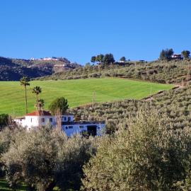 Casa Metaverdi, Hotel in Colmenar