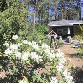 Ferienhaus Wald und Seeidylle, nahe Badesee, Spreewald, Berlin, hótel í Groß Köris