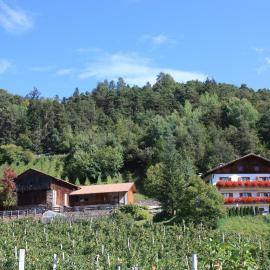 Ferienbauernhof Masunerhof, Hotel in Völs am Schlern