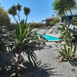 Yuccas House