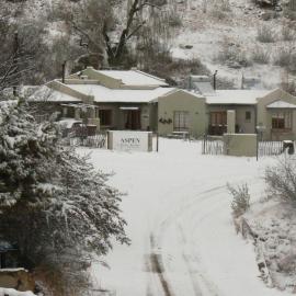 Aspen Guest House