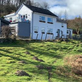Broombush B & B & Yr Nyth Shepherds Hut, hotel in Aberhafesp