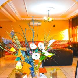Résidence Hotelière Borel Denver