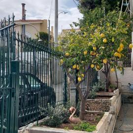 Elena's Family House