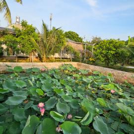 Homestay Sen & Zen Villa Vũng Tàu