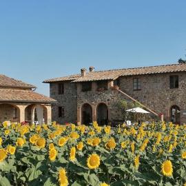 Casetta della Pina, Hotel in Monticiano