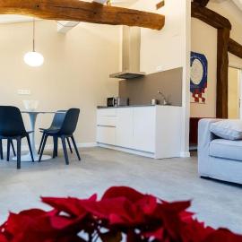 Apartamentos en Baztan HIRU KABI, BAGA, hotel v destinácii Lecároz