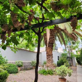 Paso de los Andes 1450 Mendoza Suites, hotel u gradu 'Mendoza'